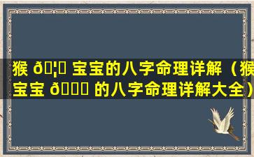 猴 🦆 宝宝的八字命理详解（猴宝宝 🍀 的八字命理详解大全）